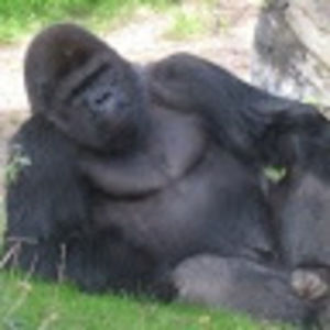 Meet your Posher, Jeffrey